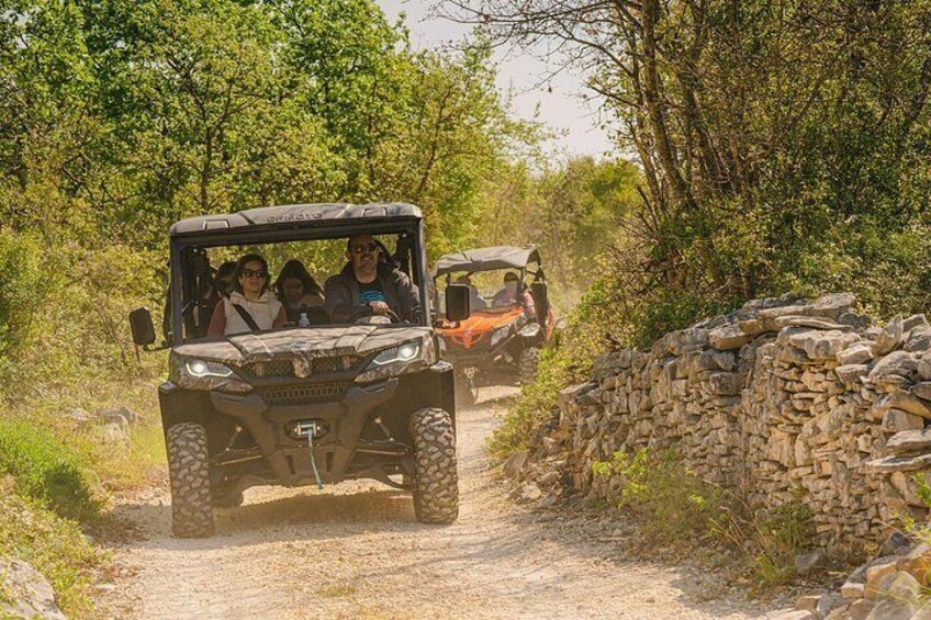 Istra Buggy "Classico" Tour with a Local Guide 4
