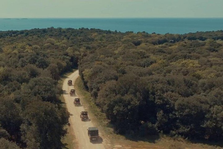 Istra Buggy "Classico" Tour with a Local Guide 3