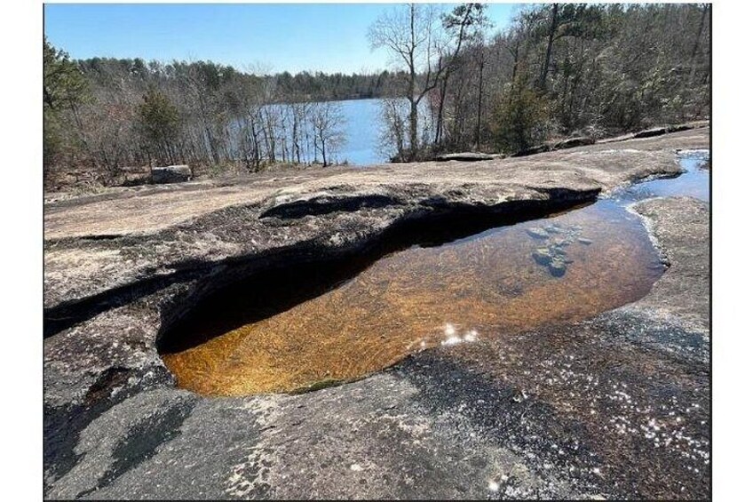 Arabia Mountain (Early Spring) 2