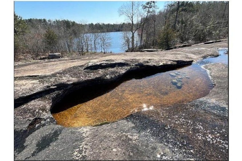Arabia Mountain (Early Spring) 4