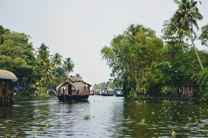 A houseboat on water surrounded by lush greenery and palm trees. 2