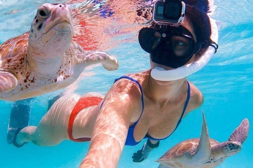 A person snorkeling with sea turtles in a clear blue pool. 1