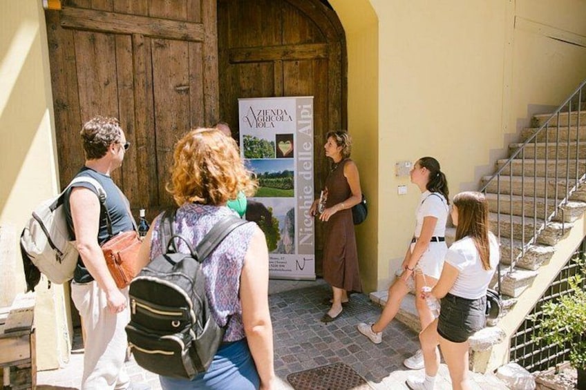 Wine Tasting at Azienda Agricola Viola in Mezzocorona 1