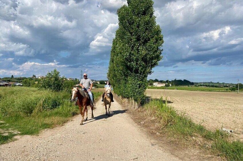 Dos personas montando a caballo por un sendero de tierra, con un árbol a la derecha y campos al fondo. 4
