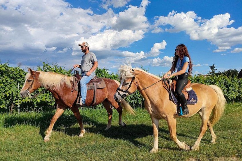 Two people riding horses in a grassy field with a vineyard in the background. 1