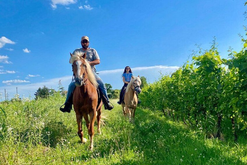 Two people riding horses on a grassy path with trees and a clear sky. 3