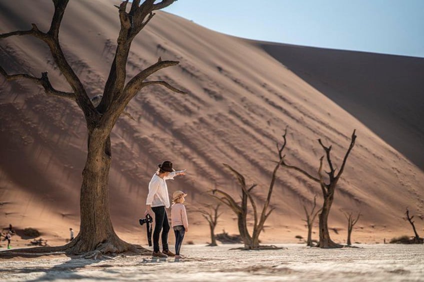 6-Day Private Namibia Desert & Safari Adventure 3