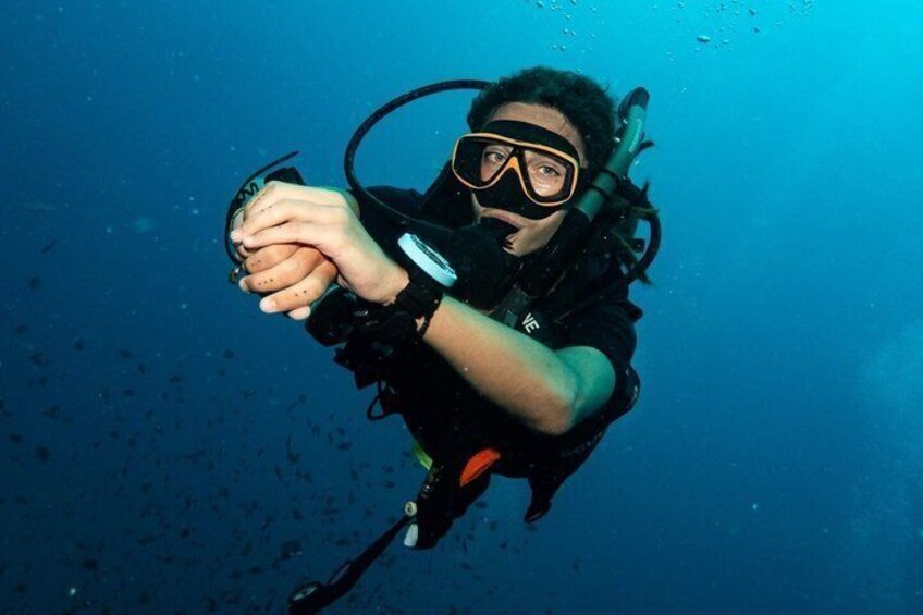 Padi open water diver course, become a diver in 3 days 2