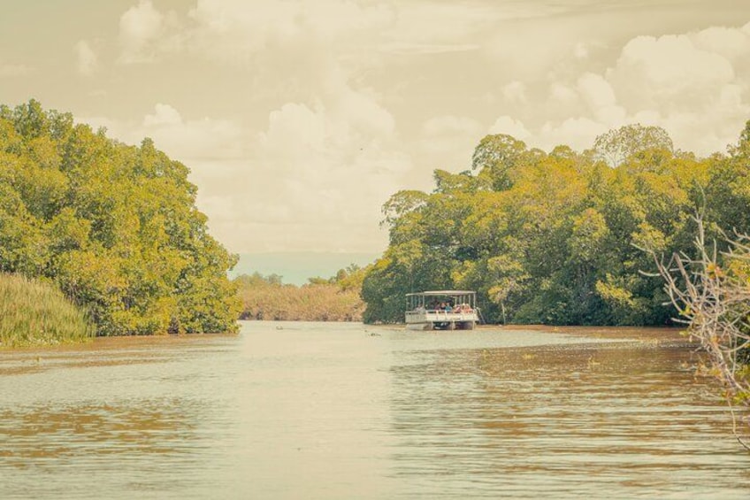 Black River Safari 5
