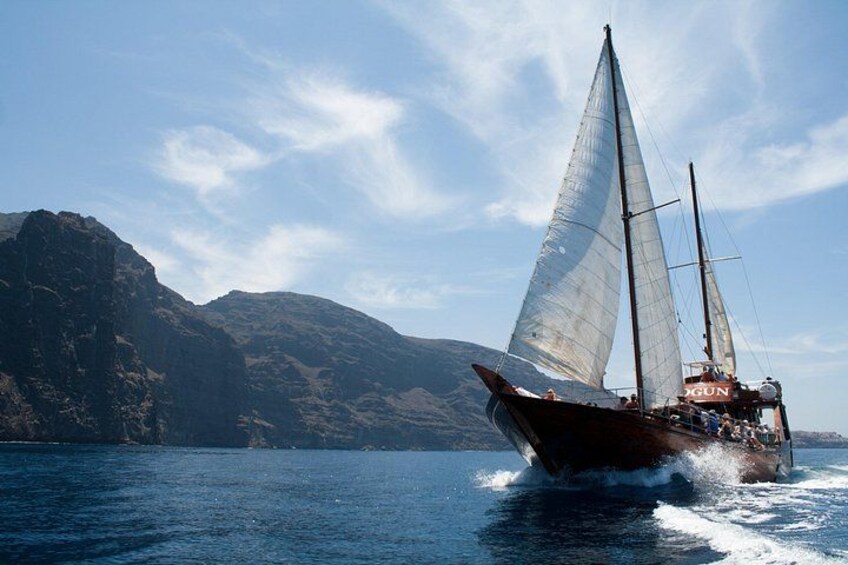 Whale Safari to Los Gigantes with pickup from North 3