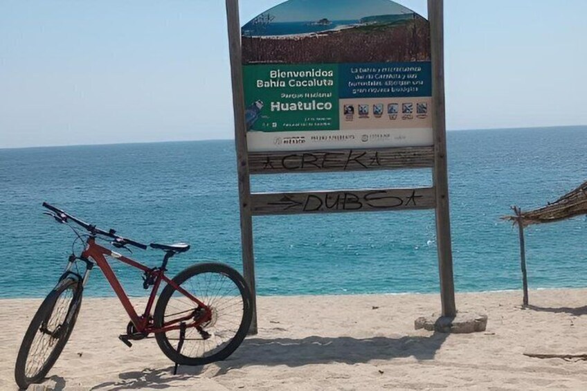 Rent DE mountain bikes 3