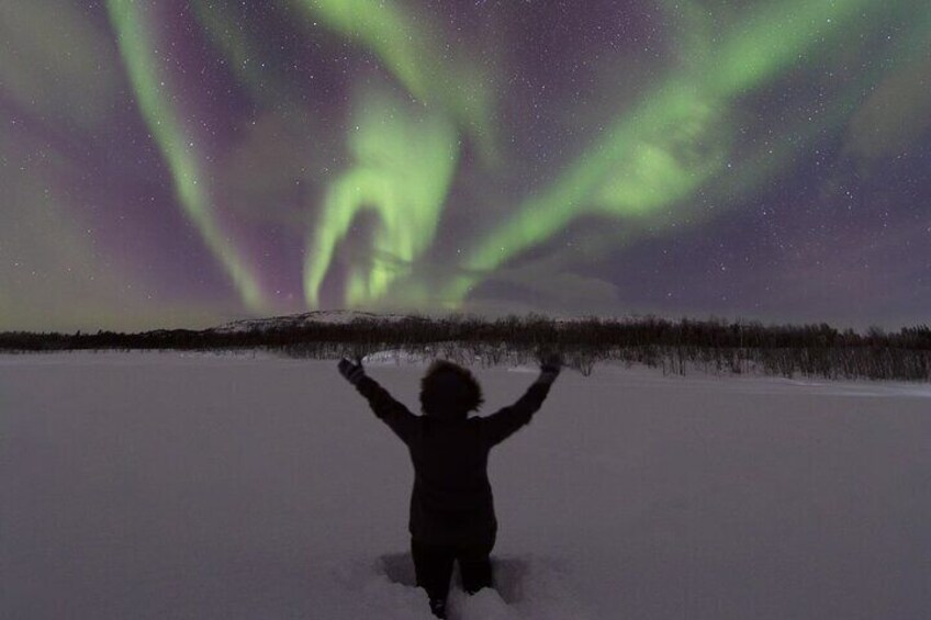 A person standing in snow with arms raised, facing the northern lights. 2