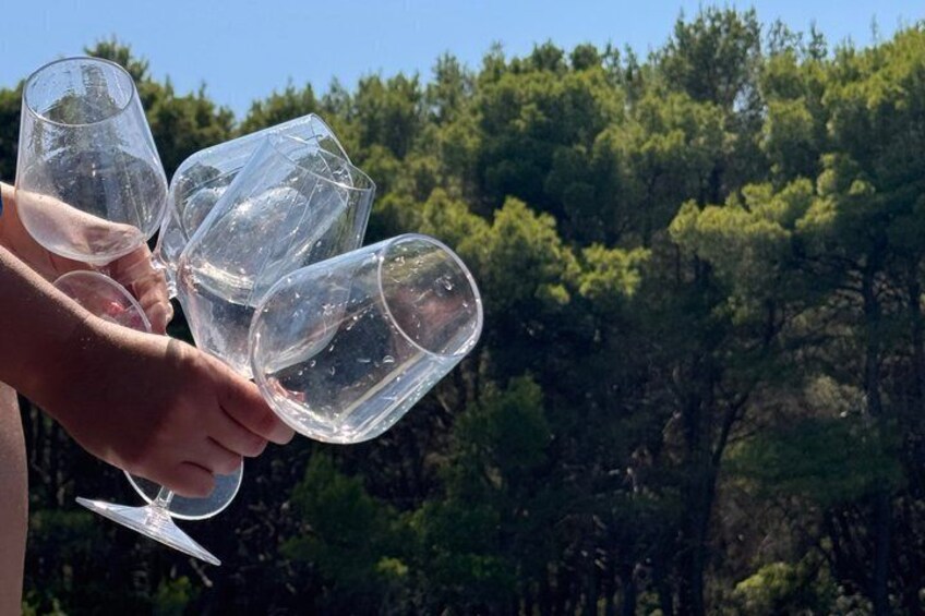 A person holding wine glasses with a forested background. 3
