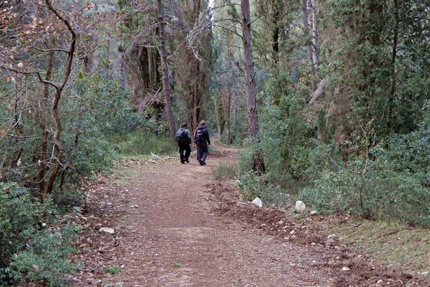 Mercadante Forest : excursion in Alta Murgia National Park 3