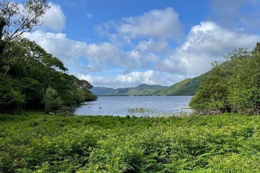 Killarney National Park Self Guided Audio Walking Tour 3