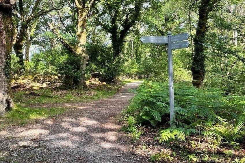 Killarney National Park Self Guided Audio Walking Tour 2
