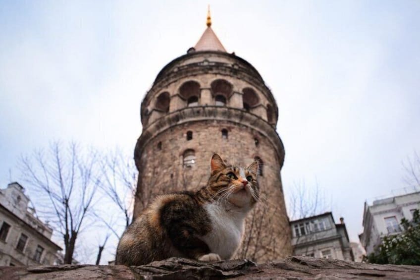 Echoes in Istanbul - A Cinematic Audio Journey Through the City 5