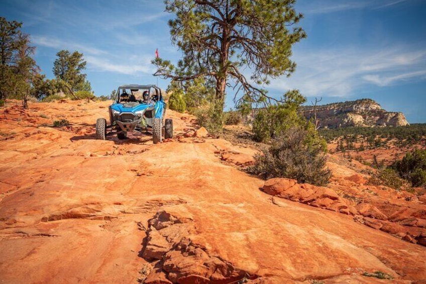 A blue off-road vehicle on a rocky trail with a pine tree and a mountain in the background. 1