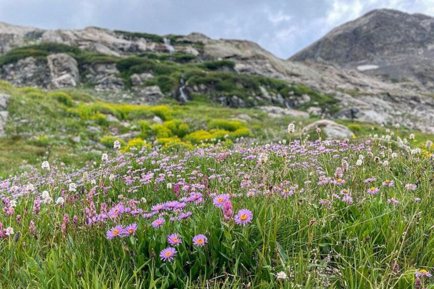 Aspen via Independence Pass Private Colorado Adventure Tour 3