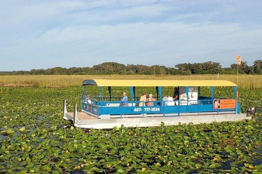 A blue boat with a yellow canopy on a body of water surrounded by green vegetation. 3
