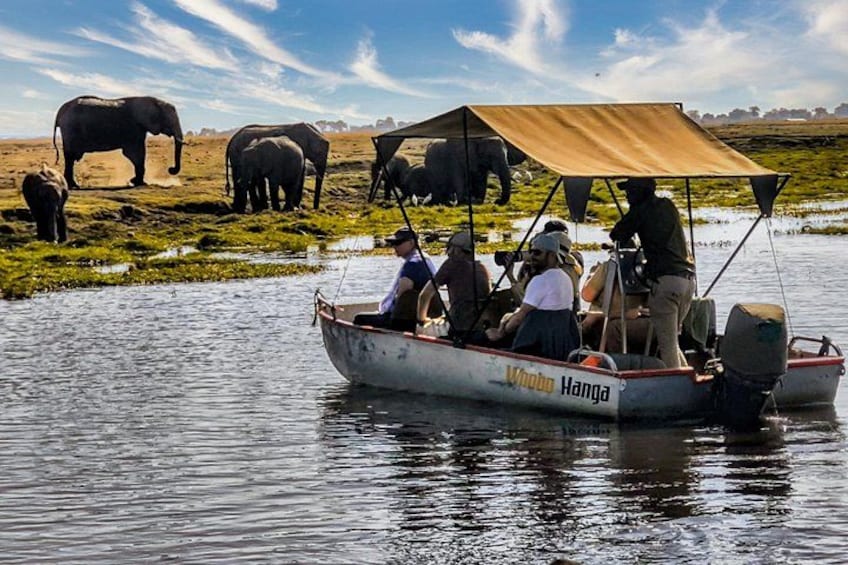 Una barca con gente en la orilla de un río, con elefantes al fondo. 4