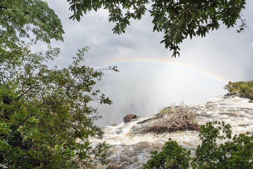 A waterfall, a rainbow, and lush greenery. 4