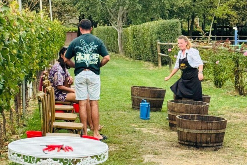 Private Chianti Tour from Florence with Lunch and Wine Tasting 4
