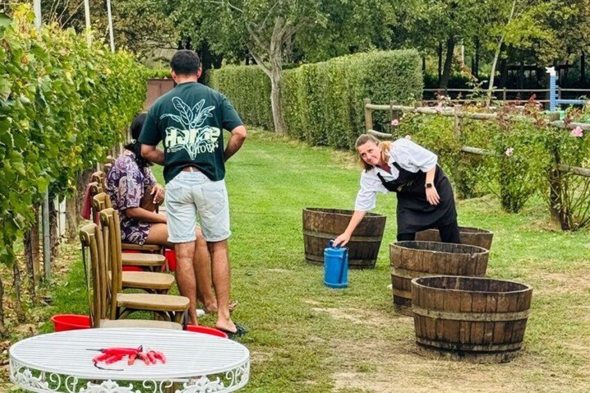 Private Chianti Tour from Florence with Lunch and Wine Tasting 5