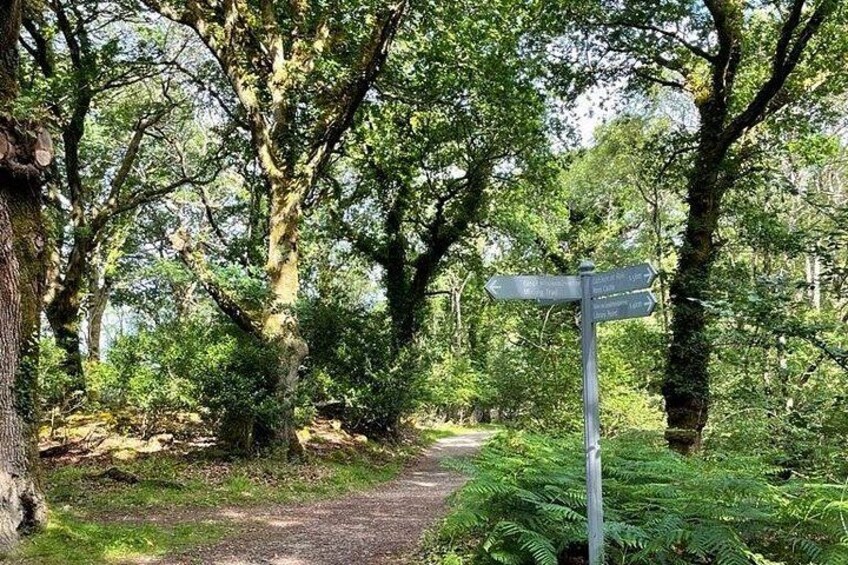 Ross Castle and Copper Mines Self Guided Walking Audio Tour 5