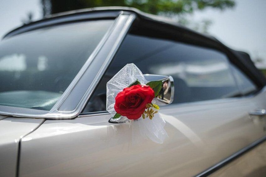 Geneva Tour by Vintage Car 5