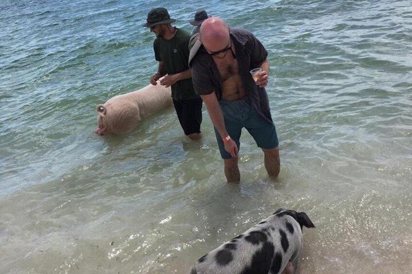 A person in water with a pig and a dog. 5