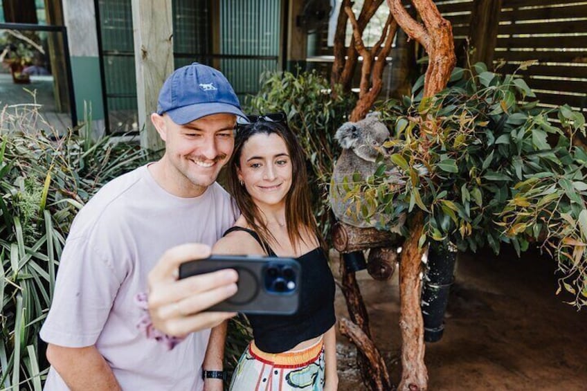 Dos personas tomándose un selfie con un koala en una rama de árbol. 1