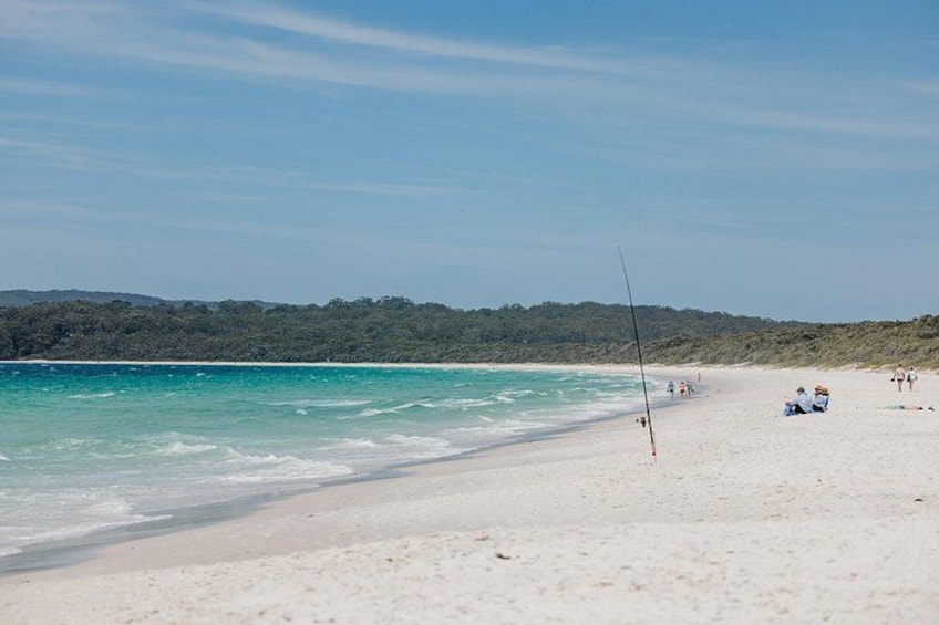 Jervis Bay Day Trip from Sydney with Beaches and Koalas 2
