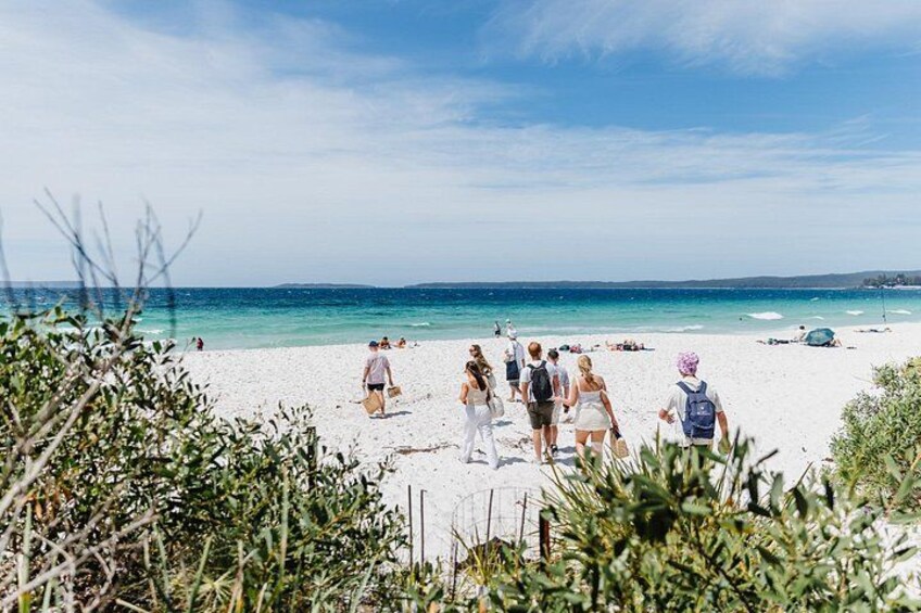 Jervis Bay Day Trip from Sydney with Beaches and Koalas 5