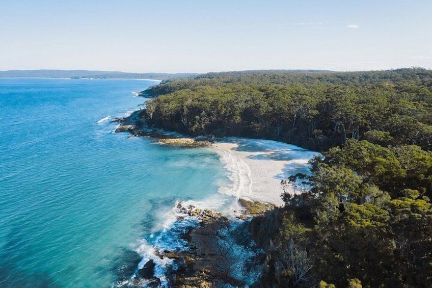 Jervis Bay Day Trip from Sydney with Beaches and Koalas 3