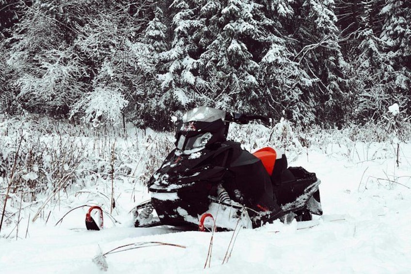 A snowmobile in a snowy field with trees in the background. 4