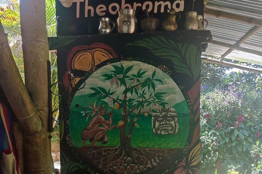 Private Chocolate Immerse Experience with transport from Medellin 4
