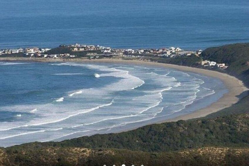 3 Day Garden Route Adventure Caves Safari and Wine Tasting 3