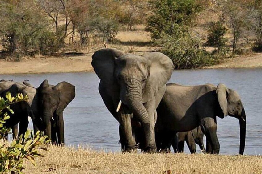 3 Day Garden Route Adventure Caves Safari and Wine Tasting 4