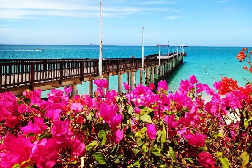 Un muelle se adentra en aguas turquesas, rodeado de flores rosadas vibrantes. 2