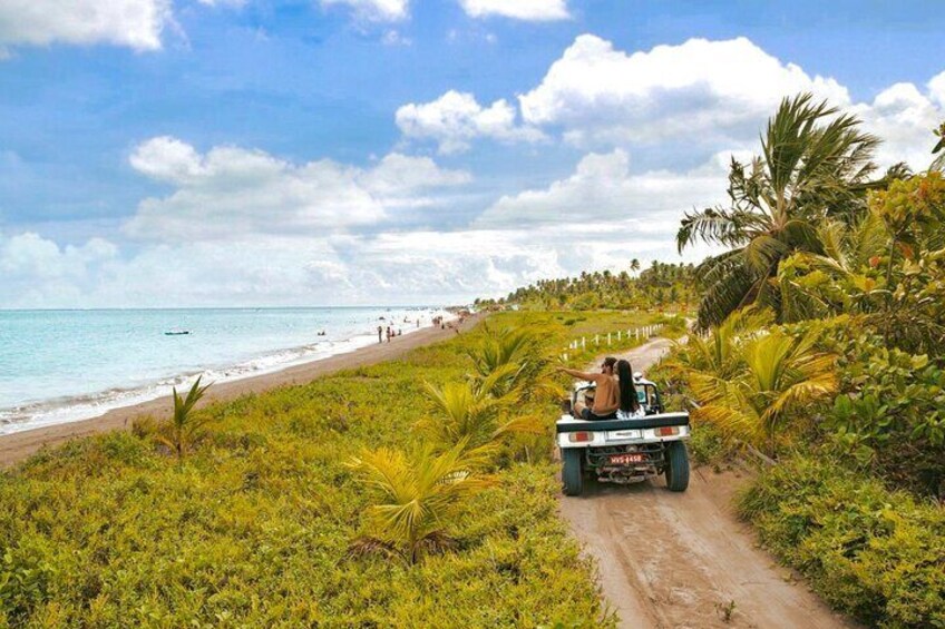 A vehicle on a dirt path with a beach and palm trees in the background. 4