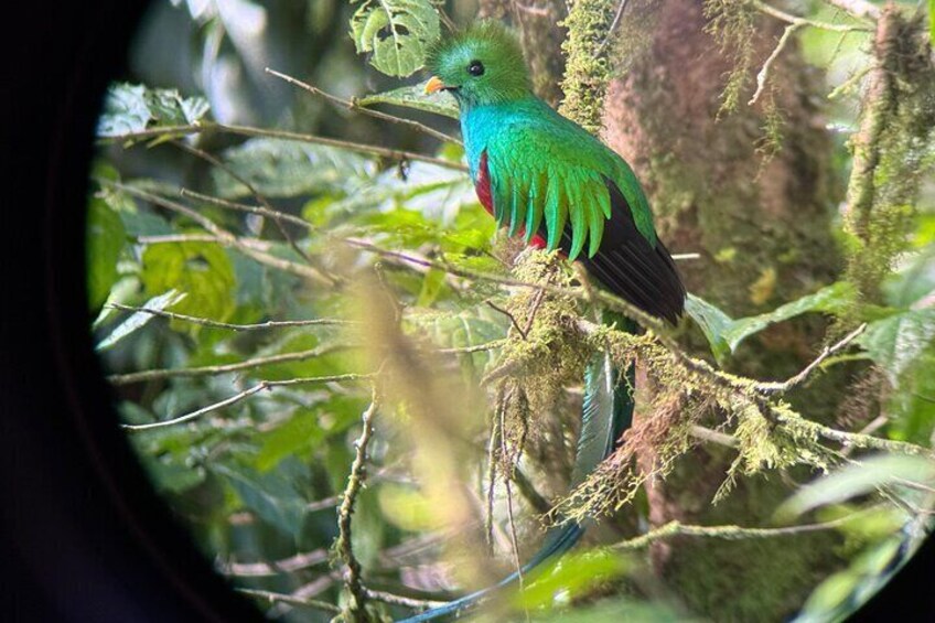 Monteverde Cloud Forest Tour nature hike 4