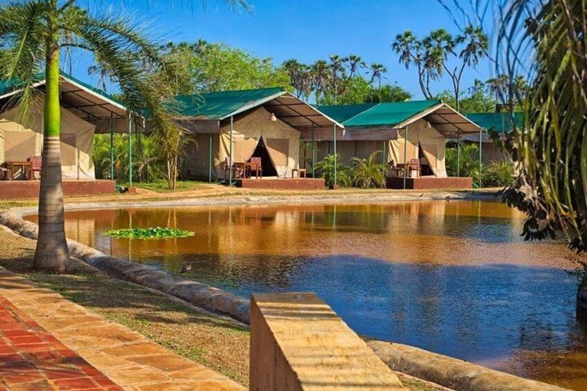 Un resort con bungalows sobre el agua, piscina y palmeras. 5