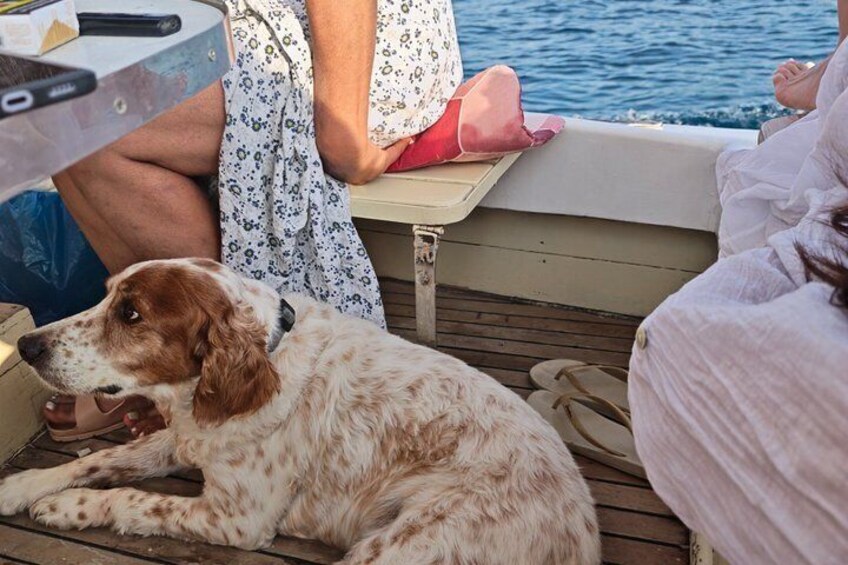Boat rides through Zadar Archipelago 5
