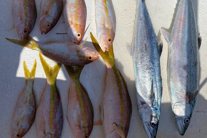 Private Deep Sea Fishing Charter – Puerto Morelos 5