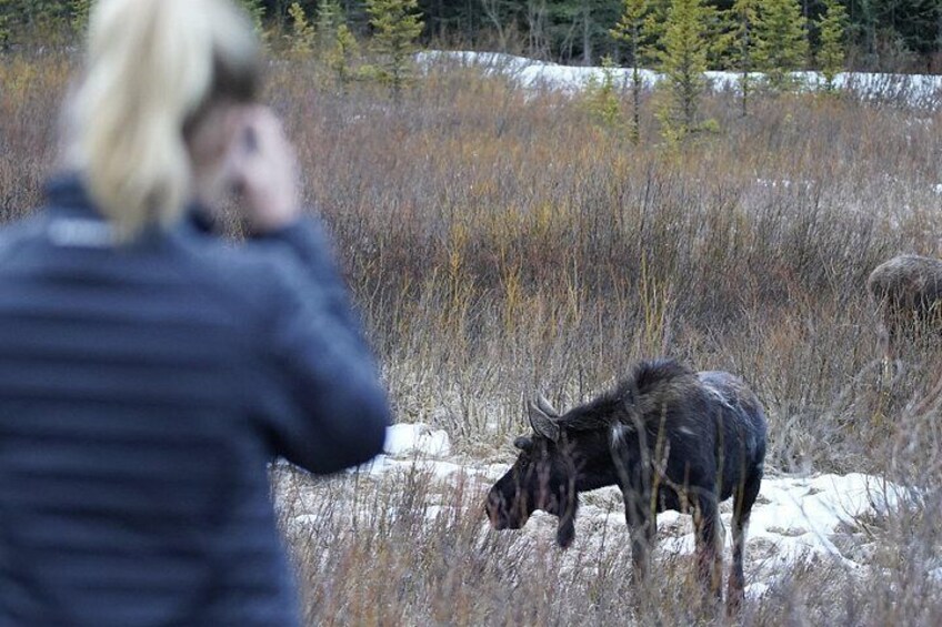 We ensure you don't get too close to disturb the wildlife or put yourself at risk of harm. 4