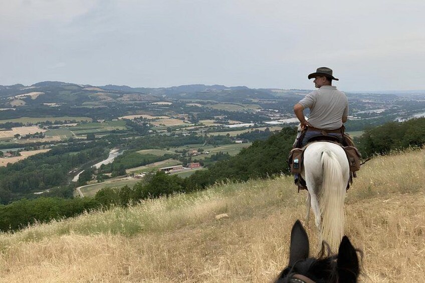 A person riding a horse on a grassy hill overlooking a valley. 3