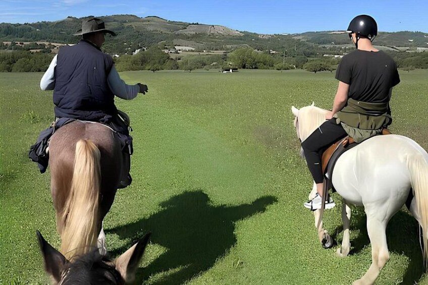 Two people riding horses in a grassy field with hills in the background. 4