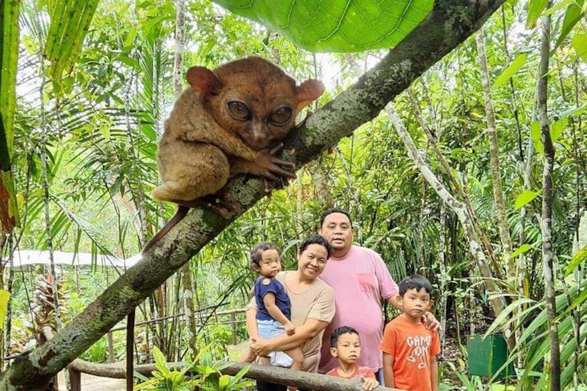 A family with a lemur on a tree branch in a lush, green forest. 1