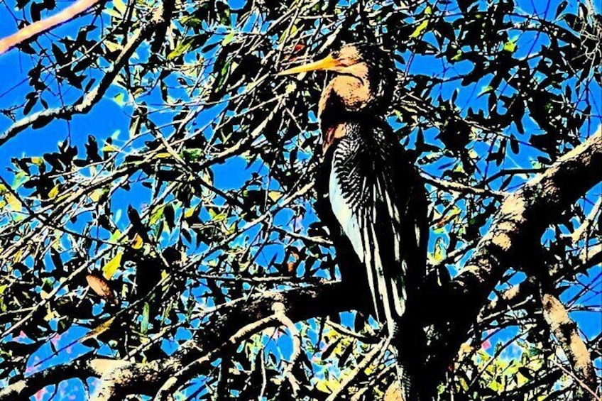 A bird perched on a tree branch. 2